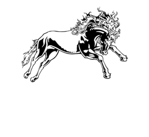 Arsenal Media